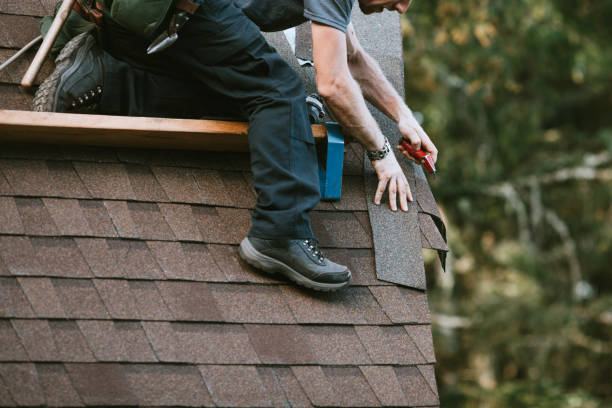 Best Roof Repair Services  in Bay Minette, AL